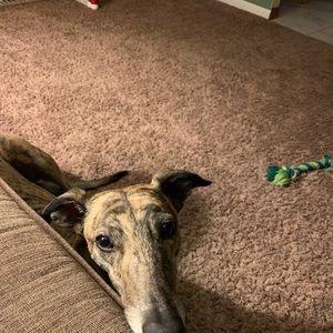 Meet your Posher, Nancy